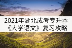 2021年湖北成人高考專升本《大學(xué)語(yǔ)文》復(fù)習(xí)攻略(五)