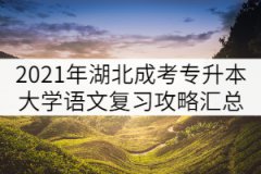2021年湖北成人高考專升本大學(xué)語(yǔ)文復(fù)習(xí)攻略匯總