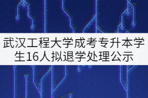武漢工程大學(xué)成考專升本前置?？茖W(xué)歷資格清查學(xué)生16人擬退學(xué)處理公示