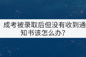 成考被錄取后但沒有收到通知書該怎么辦？