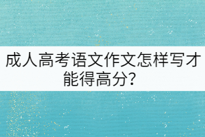 成人高考語文作文怎樣寫才能得高分？