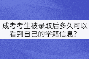 成考考生被錄取后多久可以看到自己的學(xué)籍信息？