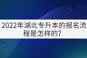 2022年湖北專升本的報(bào)名流程是怎樣的？