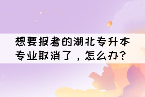想要報考的湖北專升本專業(yè)取消了，怎么辦？