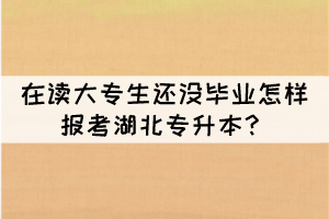 在讀大專生還沒畢業(yè)怎樣報(bào)考湖北專升本？