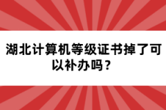 湖北計(jì)算機(jī)等級證書掉了可以補(bǔ)辦嗎？