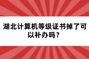 湖北計算機等級證書掉了可以補辦嗎？