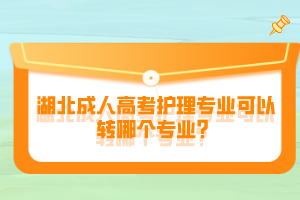 湖北成人高考護理專業(yè)可以轉哪個專業(yè)？
