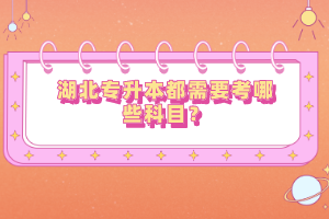 湖北專升本都需要考哪些科目？