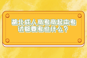 湖北成人高考高起本考試都要考些什么？