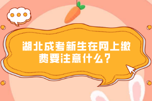 湖北成考新生在網(wǎng)上繳費要注意什么？