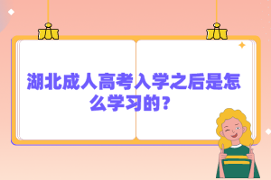 湖北成人高考入學(xué)之后是怎么學(xué)習(xí)的？