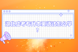 湖北成考專升本英語該怎么學(xué)？