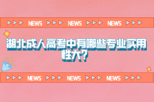 湖北成人高考中有哪些專業(yè)實用性大？