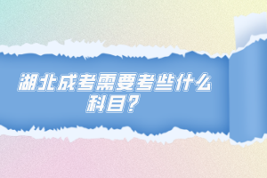 湖北成考需要考些什么科目？