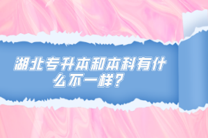 湖北專升本和本科有什么不一樣？