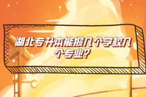 湖北專升本能報幾個學(xué)校幾個專業(yè)？