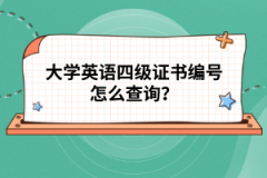 大學英語四級證書編號怎么查詢？