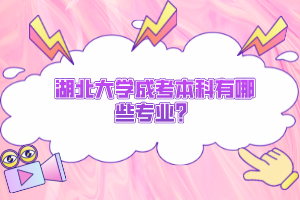 湖北大學成考本科有哪些專業(yè)？