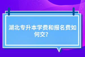 湖北專升本學(xué)費和報名費如何交？