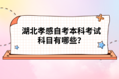 湖北孝感自考本科考試科目有哪些？