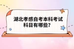 湖北孝感自考本科考試科目有哪些？