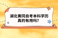 湖北黃岡自考本科學(xué)歷真的有用嗎？