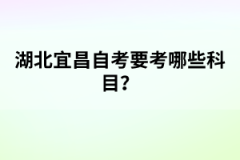 湖北學(xué)位英語考試題型有哪些？