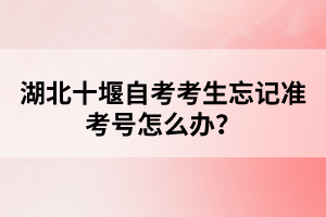 湖北十堰自考考生忘記準(zhǔn)考號(hào)怎么辦?