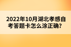2022年10月湖北孝感自考答題卡怎么涂正確？