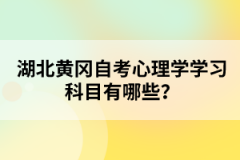 湖北黃岡自考心理學(xué)學(xué)習(xí)科目有哪些？