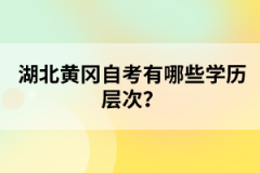 湖北黃岡自考有哪些學(xué)歷層次？