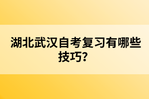 湖北武漢自考復(fù)習(xí)有哪些技巧？