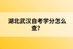 湖北武漢自考學(xué)分怎么查？