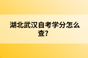 湖北武漢自考學(xué)分怎么查？