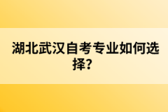 湖北武漢自考專業(yè)如何選擇？