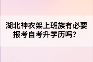 湖北神農(nóng)架上班族有必要報(bào)考自考升學(xué)歷嗎？