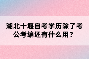 湖北十堰自考學(xué)歷除了考公考編還有什么用？