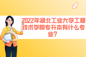 2022年湖北工業(yè)大學(xué)工程技術(shù)學(xué)院專升本有什么專業(yè)？