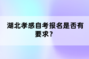 湖北孝感自考報名是否有要求？