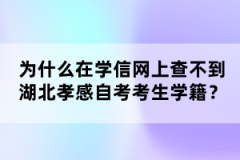 為什么在學(xué)信網(wǎng)上查不到湖北孝感自考考生學(xué)籍？