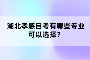 湖北孝感自考有哪些專業(yè)可以選擇?