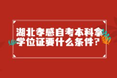 湖北孝感自考本科拿學(xué)位證要什么條件？