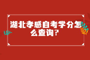 湖北孝感自考學分怎么查詢？