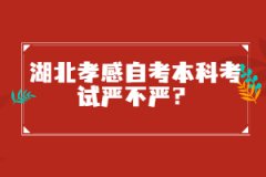 湖北孝感自考本科考試嚴(yán)不嚴(yán)？