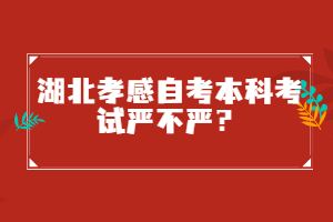 湖北孝感自考本科考試嚴不嚴？