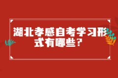 湖北孝感自考學(xué)習(xí)形式有哪些？