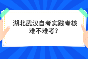 湖北武漢自考實(shí)踐考核難不難考？