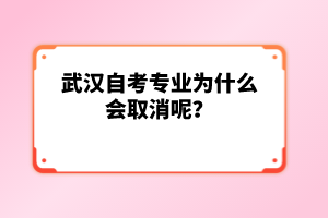 武漢自考專業(yè)為什么會(huì)取消呢？