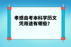 孝感自考本科學歷文憑用途有哪些？
